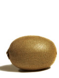 Buy Kiwi Fruit on White Background at AllPosters.com
