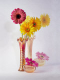 Gerbera Daisies in Antique Vase