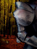 The Fox Hunts the Knight in Armor in the Forest