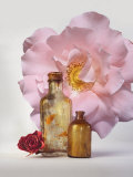 Still Life of Bottles and Roses