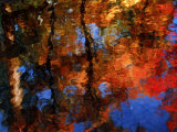 Reflection of Red Maples and Blue Sky in Creek, Sedona, Arizona, USA