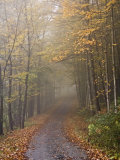 Buy Rural Road in Autumn at Dawn, Vermont at AllPosters.com