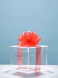 Clear Box with Red Ribbon and Bow