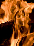 Fire and Wood