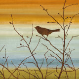 Buy Morning Song II at AllPosters.com