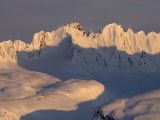 Thompson Pass, Alaska Bear Shadow