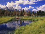 Buy Scenic Mountain Valley View with Beaver Dam Blocked Stream at AllPosters.com