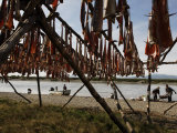 Buy Hauling in Salmon at a Fishing Camp at AllPosters.com