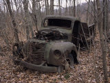 Buy Broken Down and Dilapidated Vintage Truck in a Woodland at AllPosters.com