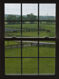 Buy View of a Horse Farm from Inside a Window at AllPosters.com