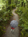 Hiker on the Gravel Trail Along Ship Creek Estuary