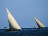 Buy Large Dhows Sail Off the Coast of Pate Island at AllPosters.com