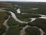 Buy Braided River Ecosystem for Salmon Spawning at AllPosters.com