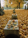 Buy Fall Leaves Surround a Grave Stone in a Wellsville New York Cemetery at AllPosters.com