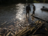 Buy Fish Inspectors in Pursuit of Salmon Poachers at AllPosters.com