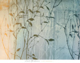 Buy Day Spring at AllPosters.com