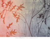 Buy Fall Foreshadowed at AllPosters.com