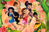 Fairies - Rosetta