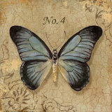 Clair's Butterfly I