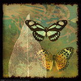 Butterflies and Leaf