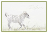 Simply Zebra