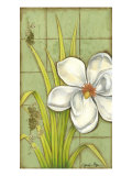 Sugar Magnolia I