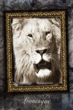 Lionesque