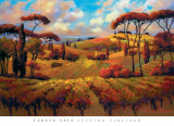 Buy Evening Vineyard at AllPosters.com