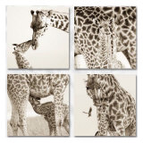 Precious Moments Collage