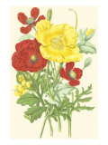 Buy Summer Garden II at AllPosters.com