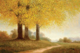 Buy Meadow Path at AllPosters.com