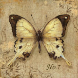 Clair's Butterfly II