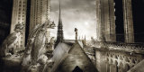 Buy Gargouilles de Notre Dame, Paris at AllPosters.com