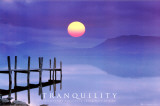 Buy Tranquility at AllPosters.com