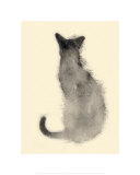Cat from the back