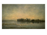 Le Marais de Canards