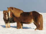 Two Iceland