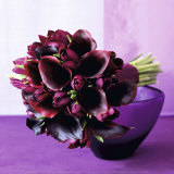 Bouquet of arum lilies