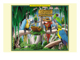 A Company of Parrots