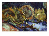 Buy Four Sunflowers Gone To Seed at AllPosters.com