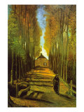Autumn Tree Lined Lane Leading To a Farm House