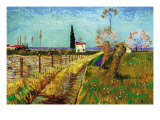Path Through a Field with Willows