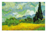 Cypresses