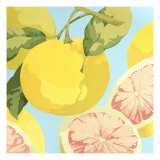 Fresh Grapefruits
