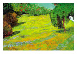 Sunny Lawn