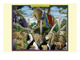 Buy A Pride of African Warrior Lions at AllPosters.com