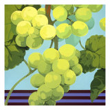 Harvest Prize 1