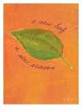 A New Leaf