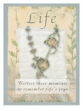 Buy Life at AllPosters.com