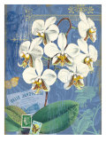 Buy Vintage Botanica Flower Print at AllPosters.com